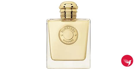 my burberry gold perfume|Burberry goddess frangrance net.